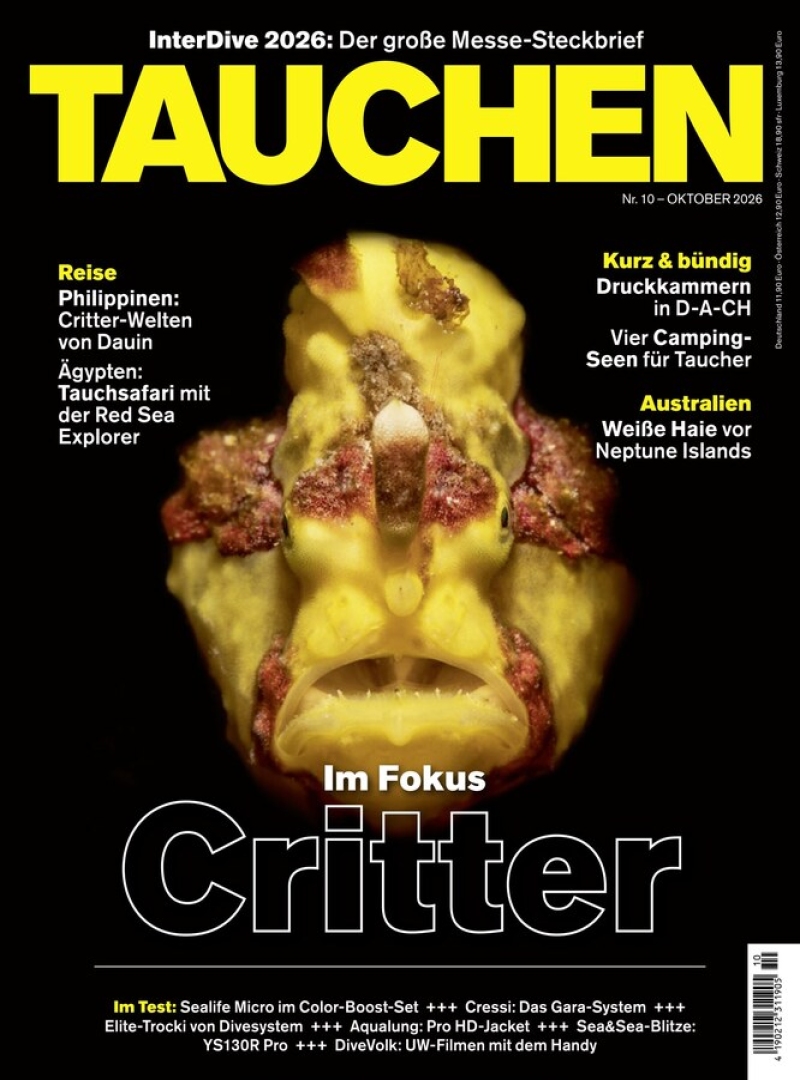 tauchen